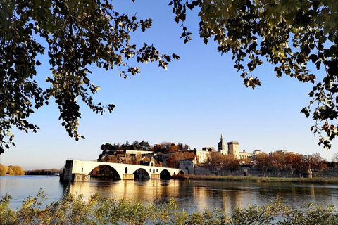 Avignon: Palace of the Popes & Avignon Bridge Entry