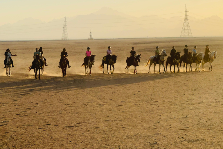 Hurghada: Horse Riding in the Desert & Beach Experience 1 HR Desert Horse Riding Experience without transfer