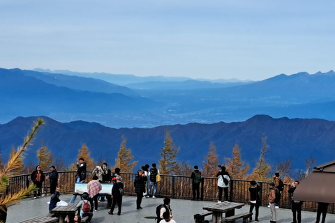 Mount Fuji Full-Day Private Tour from Tokyo (Customizable) Luxury Toyota Crown or SAI