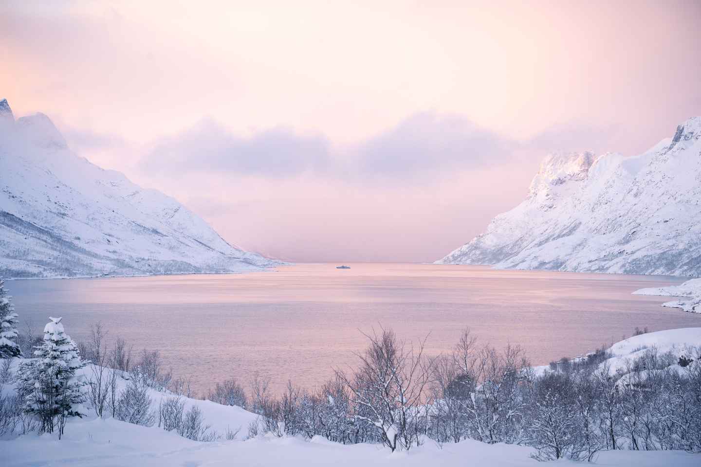 트롬쇠 출발: 북극 로드트립 소규모 4x4 밴 여행