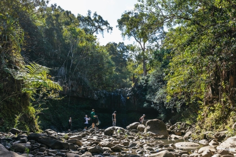 Maui: wodospad, wędrówka po lesie deszczowym i piknik
