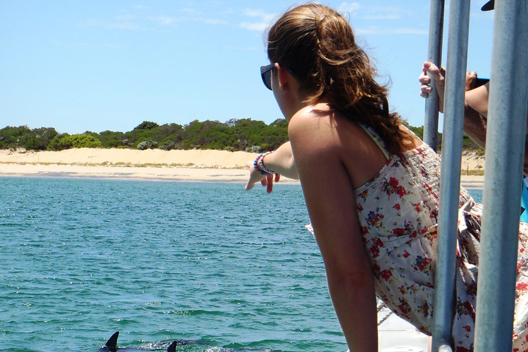 Koombana Bay: Dolphin Eco Cruise