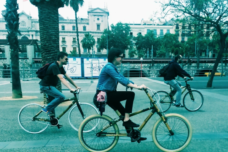 Barcelona: Private Highlights Tour by Bamboo Bicycle Purple Tour - 6 Hours