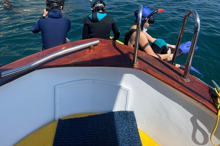 Napoli: Myths & Legends Cruise with Snorkeling Private Tour