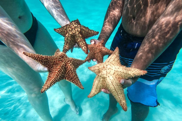 Isla Saona desde Punta Cana + Fiesta en Catamarán