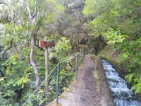 Rabaçal, Lagoa do Vento, Levada Risco and Levada 25 Fontes - Housity
