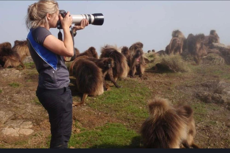 From Addis Ababa: Debre Libanos Monastery and Blue Nile …