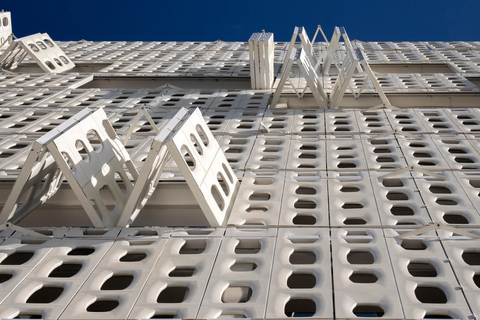 Rio de Janeiro: Modern Architecture Full-Day Tour & Transfer