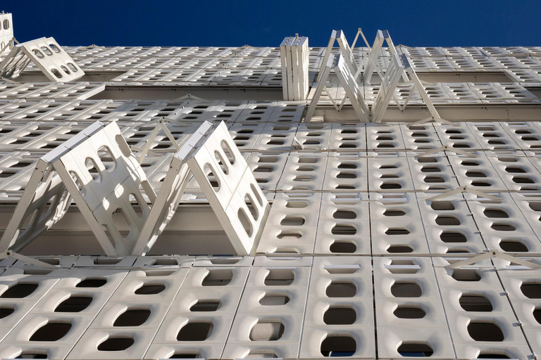 Rio de Janeiro: Modern Architecture Full-Day Tour & Transfer