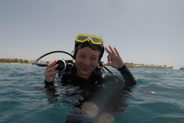 Hammamet: Guided Diving Experience with Hotel Transfer