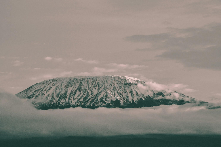 6 jours Route Machame Ascension du Kilimandjaro