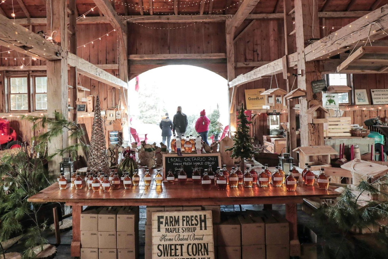 Toronto: Festive Small Town and Christmas Tree Farm Tour