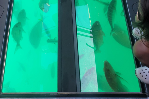 Paihia: Glass Bottom Boat Tour to the Hole in the Rock