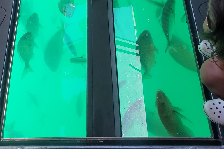 Paihia: Glass Bottom Boat Tour to the Hole in the Rock