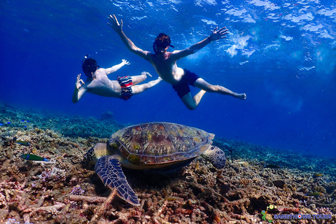 Koh Tao: Excursão de um dia com mergulho com snorkel nas ilhas e almoçoKoh Tao: Ilhas Snorkeling Destaques Day Tour &amp; Almoço