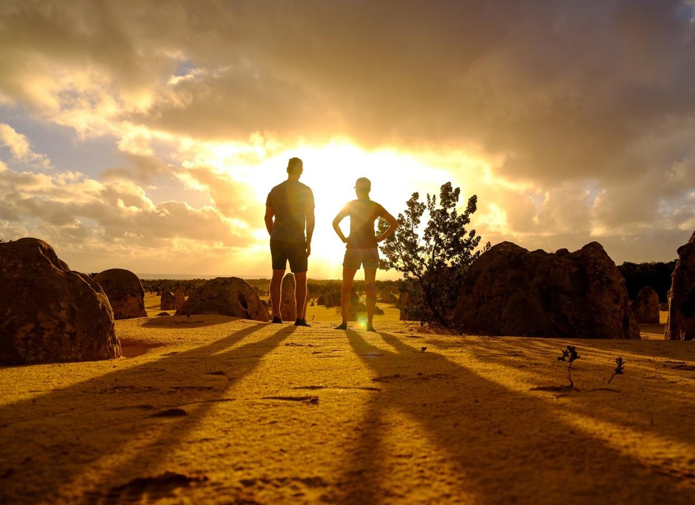 Perth: Solnedgang og stjernekiggeri i Pinnacles Desert med middag