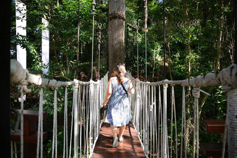 Phuket: Luge, Zipline, Skywalk &amp; Adventure Combo Experience2 Luge Rides &amp; Combine World D+