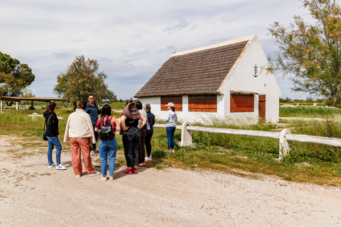 Aigues-Mortes 3H: Discover the secret Camargue in a 4x4 Full-Day
