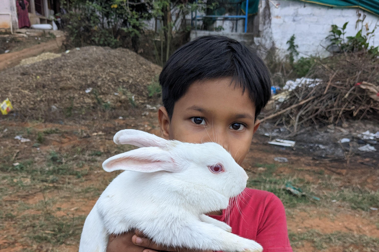 Bangalore: Big Barn Farm Visit with Animal Interactions