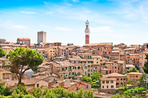 From Livorno: Siena, San Gimignano & Chianti Wine Excursions