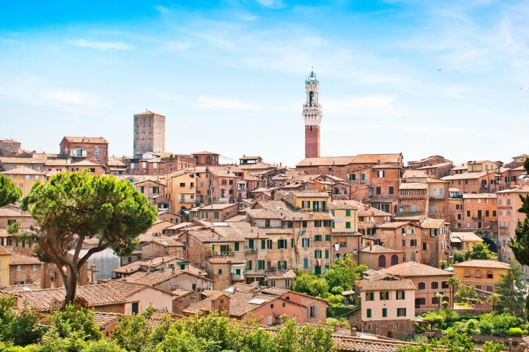 Von Livorno: Weinausflüge nach Siena, San Gimignano und Chianti