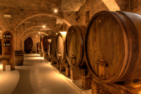 Da Livorno: Siena, San Gimignano e Chianti Wine Excursions