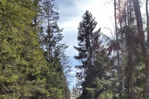 Excursión por la naturaleza desde Estocolmo