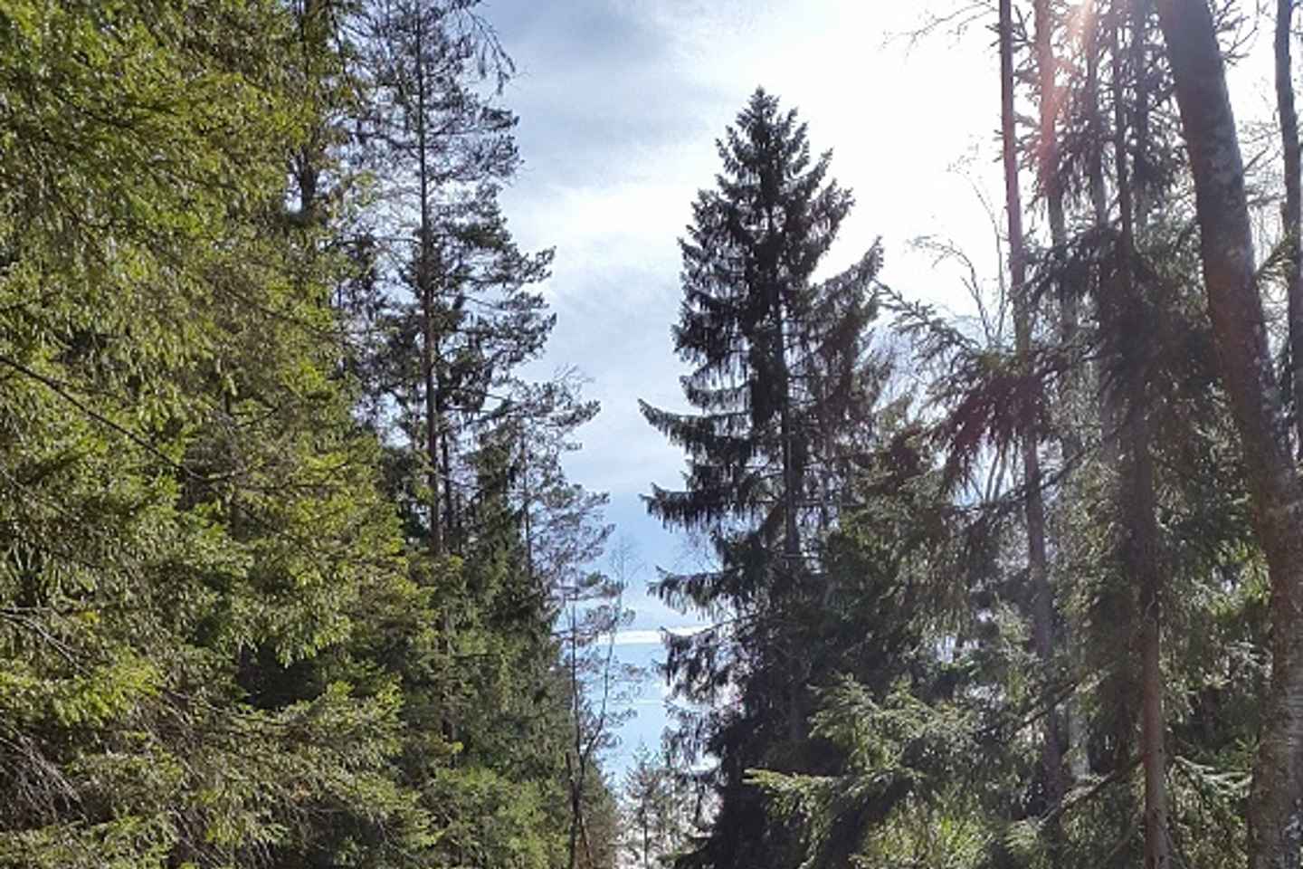 Nature Hike from Stockholm