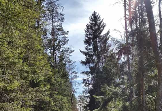 nature hike from stockholm