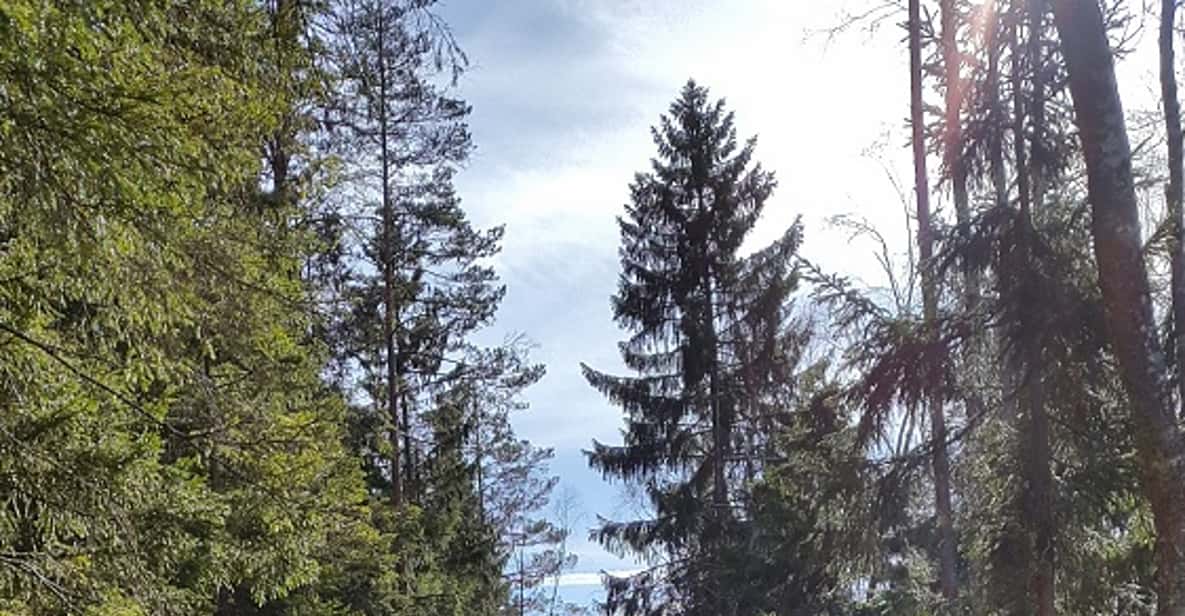 Nature Hike from Stockholm