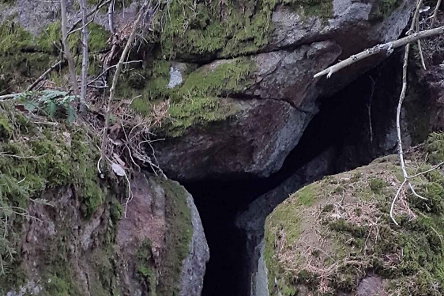 Geführte Naturwanderung ab Stockholm mit Mittagessen und Bademöglichkeit