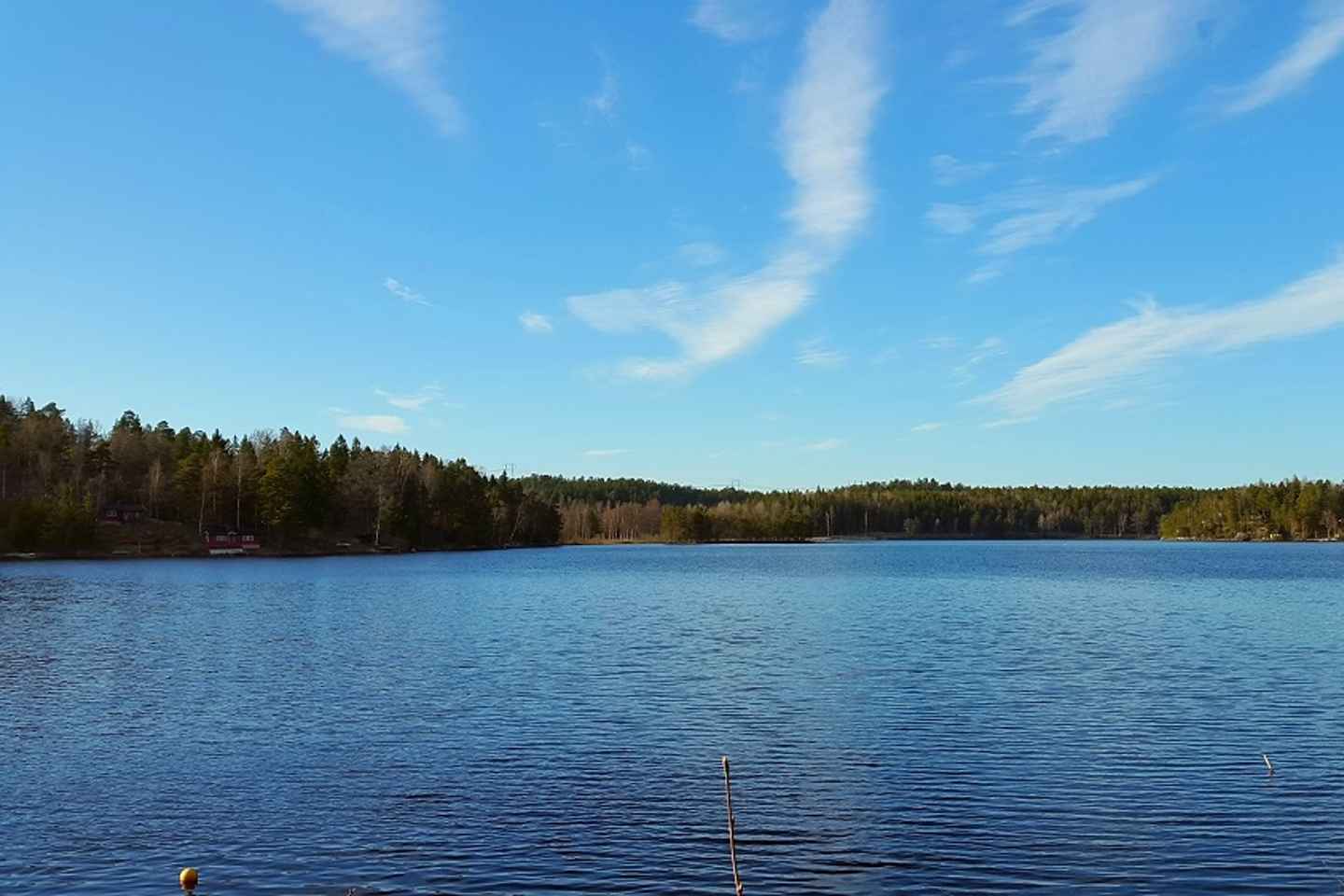 Geführte Naturwanderung ab Stockholm mit Mittagessen und Bademöglichkeit