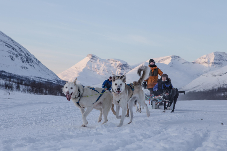 From Tromsø: Advanced Dog Sledding Tour at Camp Tamok Advanced Dog Sledding Tour: Daytime Departure