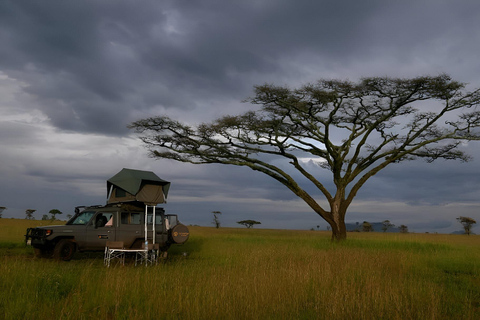 Arusha : Safari de 3 jours au Tarangire, au lac Manyara et au Ngorongoro