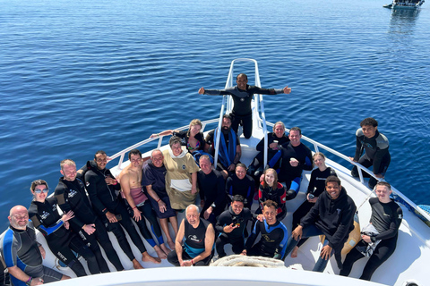Sharm El Sheikh: Tiran Island Boat Diving & Snorkeling Intro Diving & Snorkeling – No Certification Required