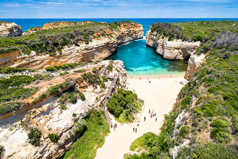 Great Ocean Road Boutique Minibus Reverse Tour & 12 Apostles Minibus Meeting Point Pickup (Max 23 Guests)