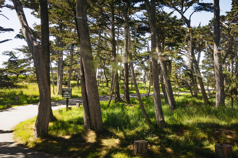 San Francisco: Monterey and Carmel Day Trip w/ 17-Mile Drive From San Francisco: Monterey and Carmel Day Tour