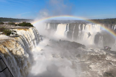 Brazil Iguazu Falls: Private Tour & Optional Macuco Safari Iguazu Falls BR: Private Tour and Optional Macuco Safari