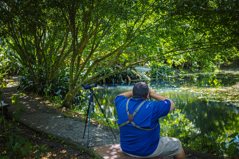 لا فورتونا: جولة الكسلان في متنزه بركان أرينال ووجبة خفيفة محلية
