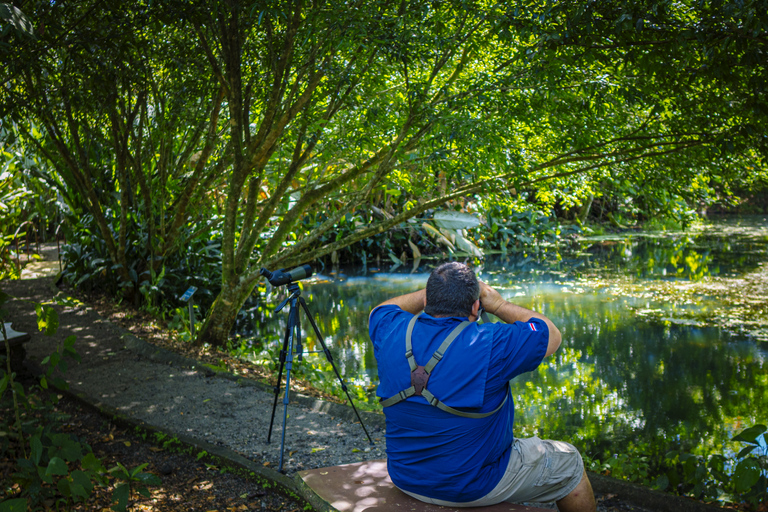 لا فورتونا: جولة الكسلان في متنزه بركان أرينال ووجبة خفيفة محلية