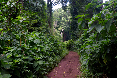 Moshi: Rau-Wald (Wanderung oder Radtour)Wandern im Rau-Wald