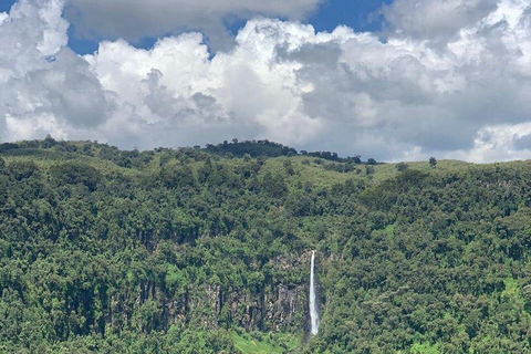 Nyeri: Aberdare National Park Safari with Guide