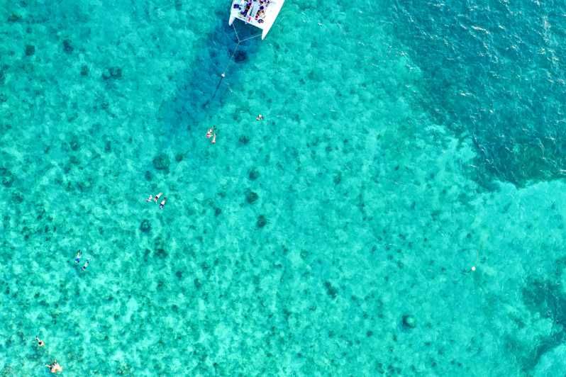 Key West: Observação de golfinhos e mergulho com snorkel em um cruzeiro ao pôr do sol