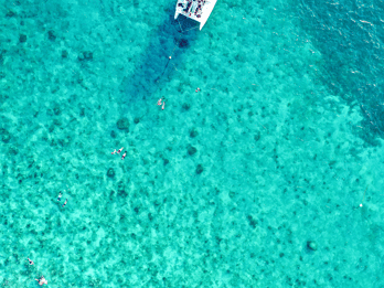Key West: Crociera al tramonto per l'osservazione dei delfini e lo snorkeling