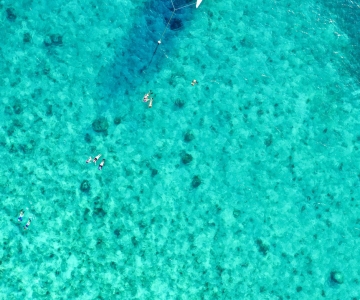 Key West: Delfinbeobachtung, Schnorcheln und Kreuzfahrt bei Sonnenuntergang
