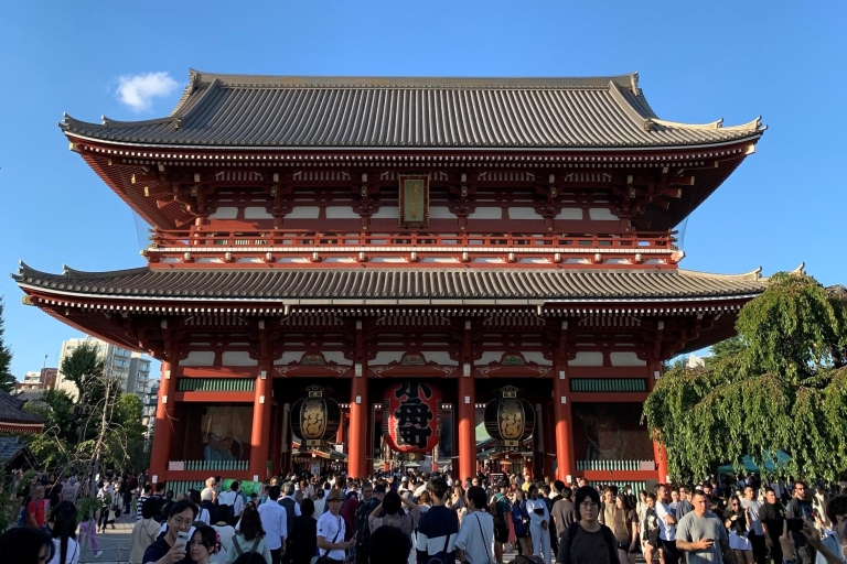 Tokio: 1-daagse privétour op maat door Tokio