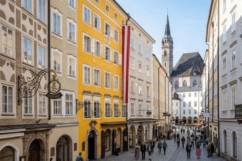 Private trip-Wachau valley, Mauthausen, Hallstatt & Salzburg