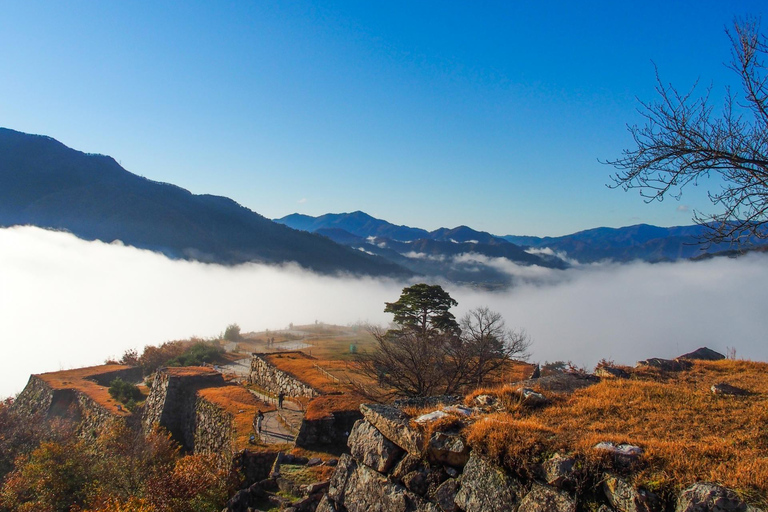 Hyogo: Takeda Castle “Castle in Sky” Mountain Hiking Tour