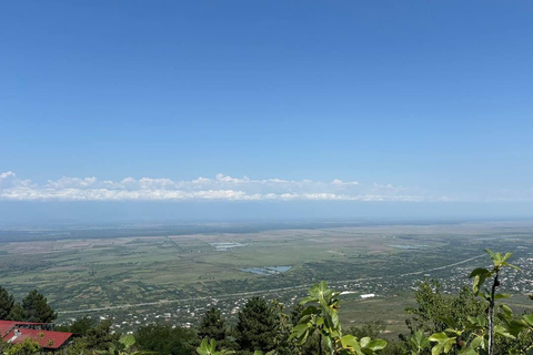 Flavors & Scenery of Kakheti: Wine, Culture, Heritage Tour One-day tour to the birthplace of wine, the city of love