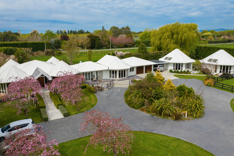 From Christchurch: Alpaca Farm Tour with Feeding and Guide
